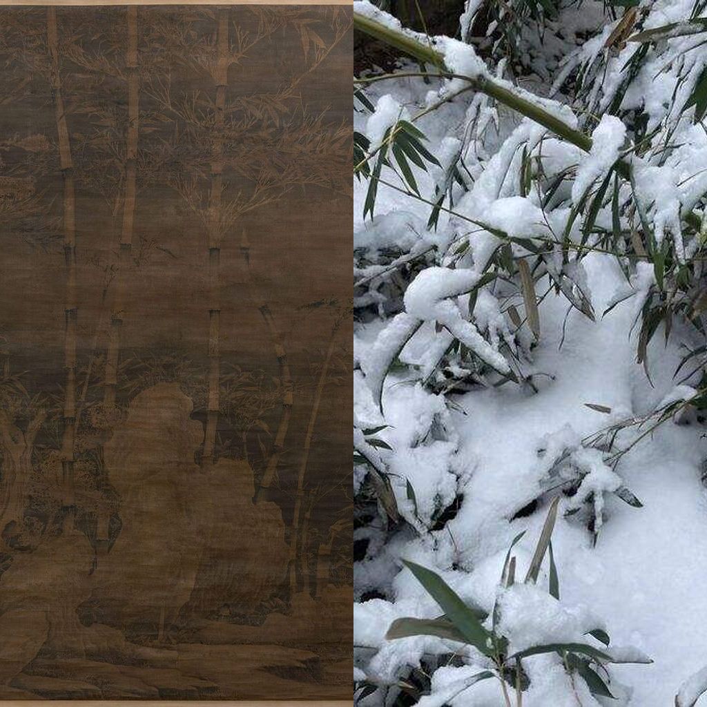 雪竹图/2024年12月16日上传缩略图